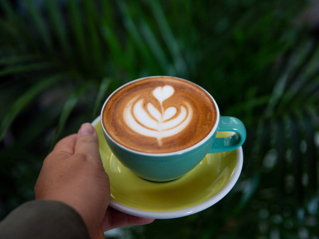 Un día perfecto en Medellín: arte, café y naturaleza urbana 